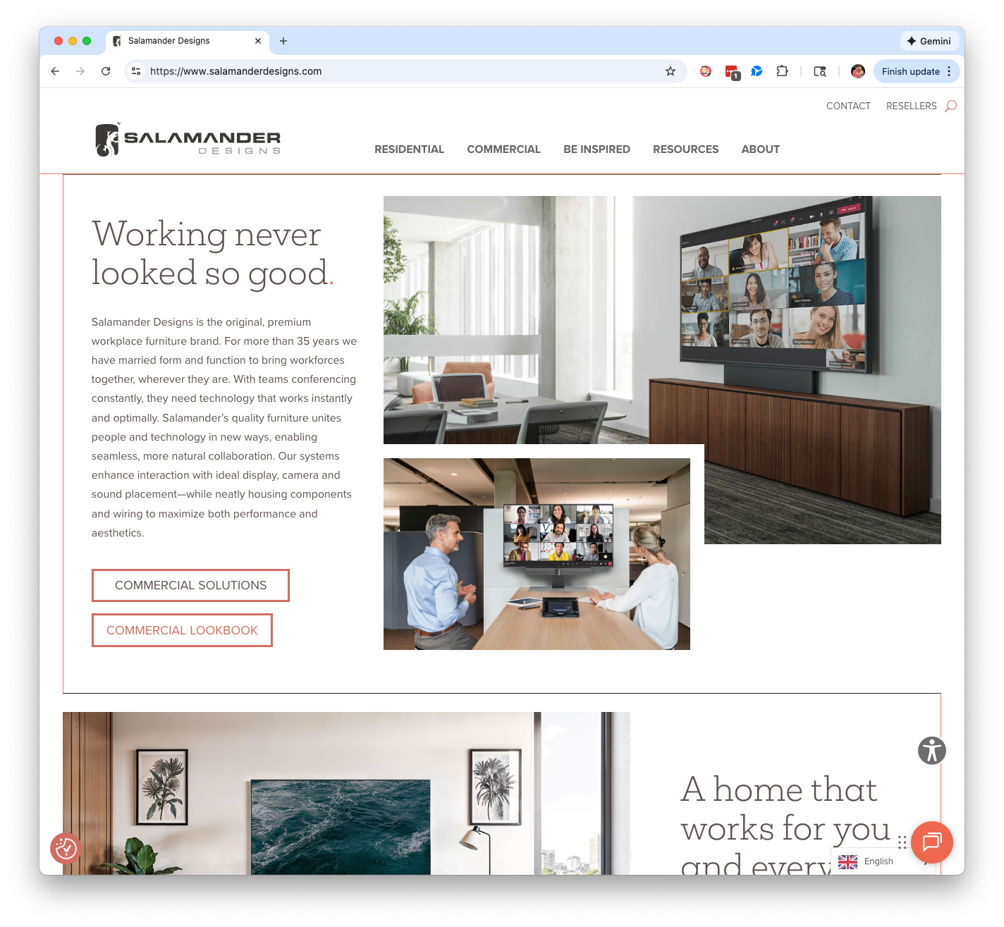 Salamander Designs Home Page