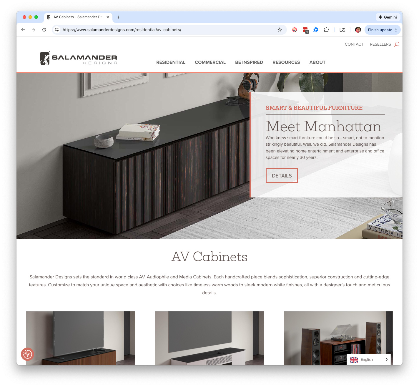 Salamander Designs Home Page